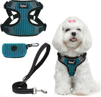 PUPTECK Dog Harness and Leash Set Small Sized - XS (9-13lbs, Chest 14"-16") / #1 Blue(Breathable Mesh)