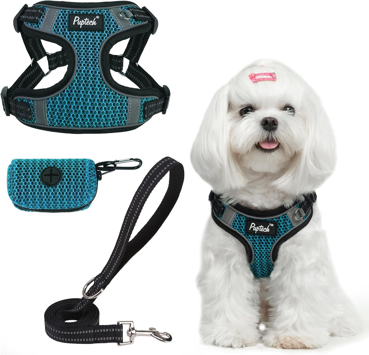 PUPTECK Dog Harness and Leash Set Small Sized - XS (9-13lbs, Chest 14"-16") / #1 Blue(Breathable Mesh)