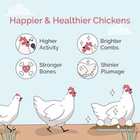 Chick Grit for Baby Chicks - Chickens Age 0-8 Weeks, 100% Natural Mineral Chick Grit Quartzite, Poultry Grit Digestive Aid, USA Mined, 50 lb