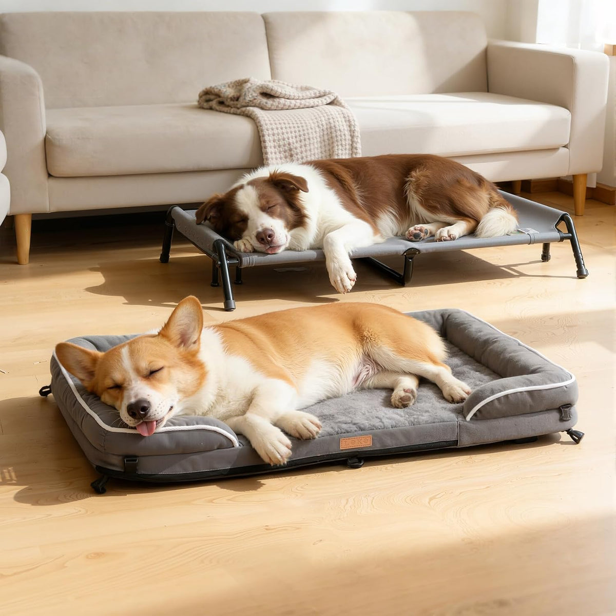 Lekereise Outdoor Elevated Dog Beds for Small Dogs - 38.8"L x 29.9"W x 10.2"Th