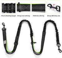 SHINE HAI Retractable Hands Free Dog Leash with Dual Bungees for 2 - Green/Black / For 2 Dog - image 3