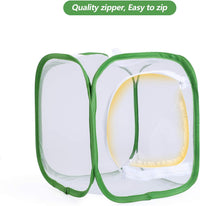 Butterfly Habitat Insect Cage, Full Mesh - 12" x 12" x 12" - image 4