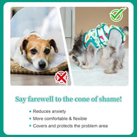 Post Surgery Dog Recovery Suit | Comfortable & Stylish Pet Wear