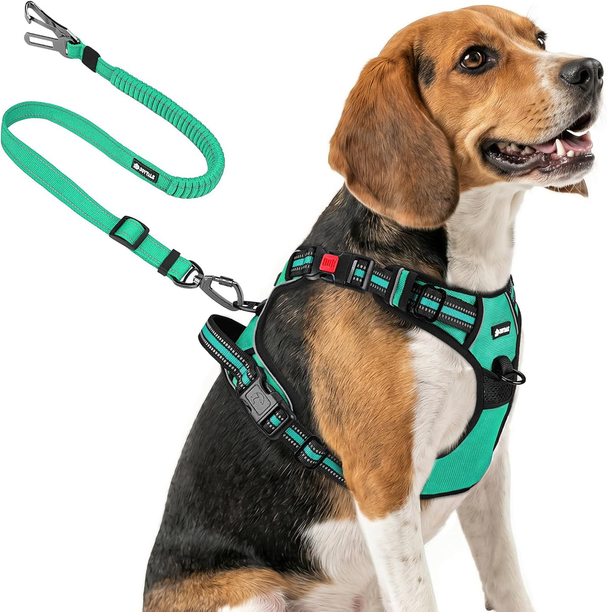 Joytale No Pull Dog Harness & Seat Belt, Easy On 3-Buckle, L - Teal / Medium