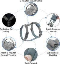 Plutus Pet No Pull Dog Harness - S / Gray - image 2