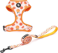 Dog Cat Harness and Leash Set - Grapefruit / M (Neck 13.4"-16.5"; Chest 17.7"-23")