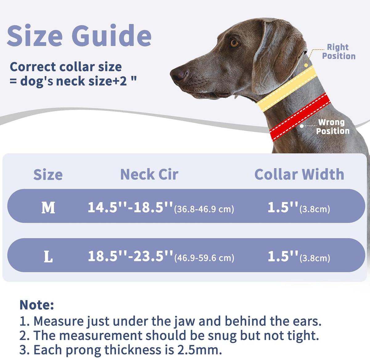Martingale Dog Training Walking Collar for Pulling, M - Light Blue / Large,2.5mm,18.5-23.5"Neck - image 4