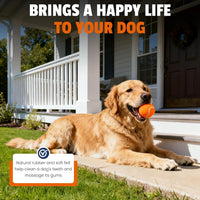 Colorful Tennis Balls for Dogs, Non Squeaky - Small-2in / 8P - image 3