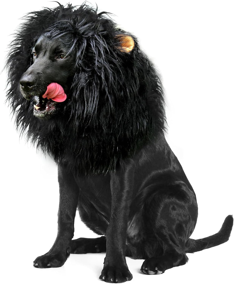 Lion Mane Wig for Dogs with Ears - Size M / Yellow
