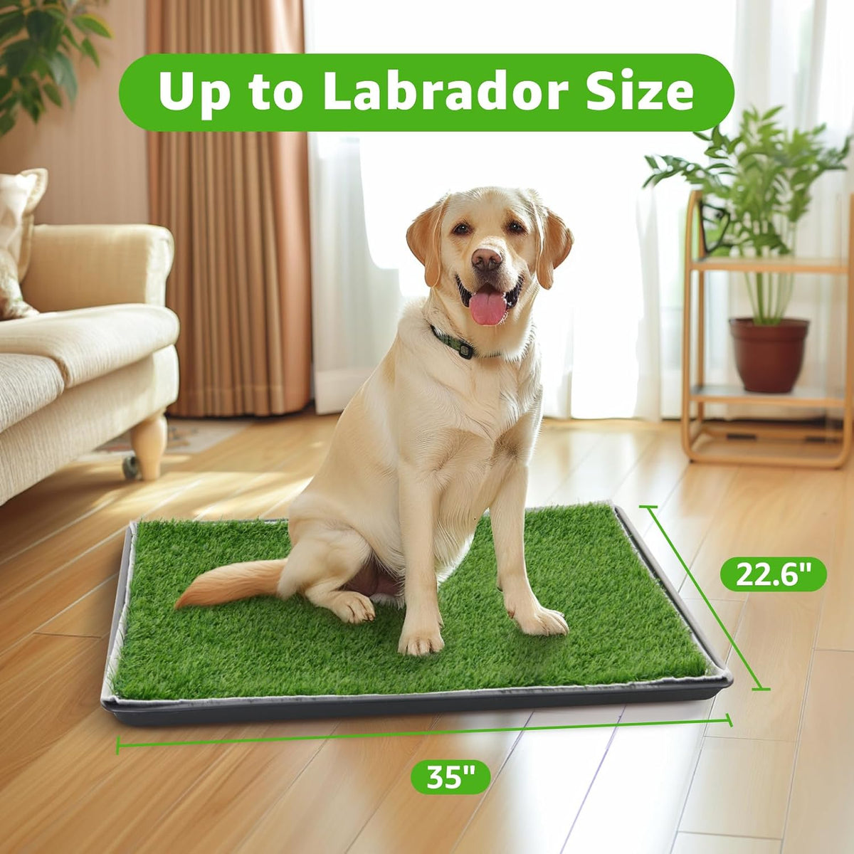Dog Grass Pad with Tray for Dogs Puppy Potty Training to Pee & Poop - 3-layered design / L-35"X22.6" - image 2