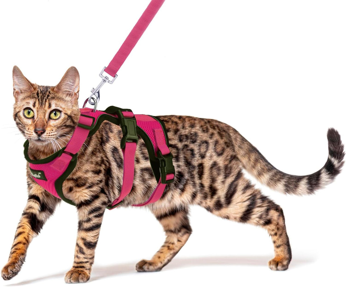 PUPTECK Cat Harness and Leash Set Escape Proof for Walking - M: Neck 11.4"-15.3", Chest 12.8"-20" / Fuschia