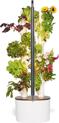 Gardyn Studio Hydroponics Growing System Kit & Vertical Indoor Garden Planter | Smart Herb Garden | Includes 16 Non-GMO Indoor Plants, Herbs, Vegetables & LED Grow Light for Your Home Gardening System