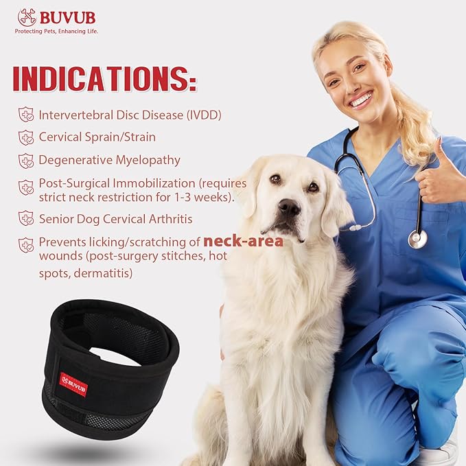 Adjustable Dog Neck Brace for Neck Pain & Injury Relief - Soft & Comfortable Support Collar for Dogs for Recovery After Surgery or Injury(XLarge)