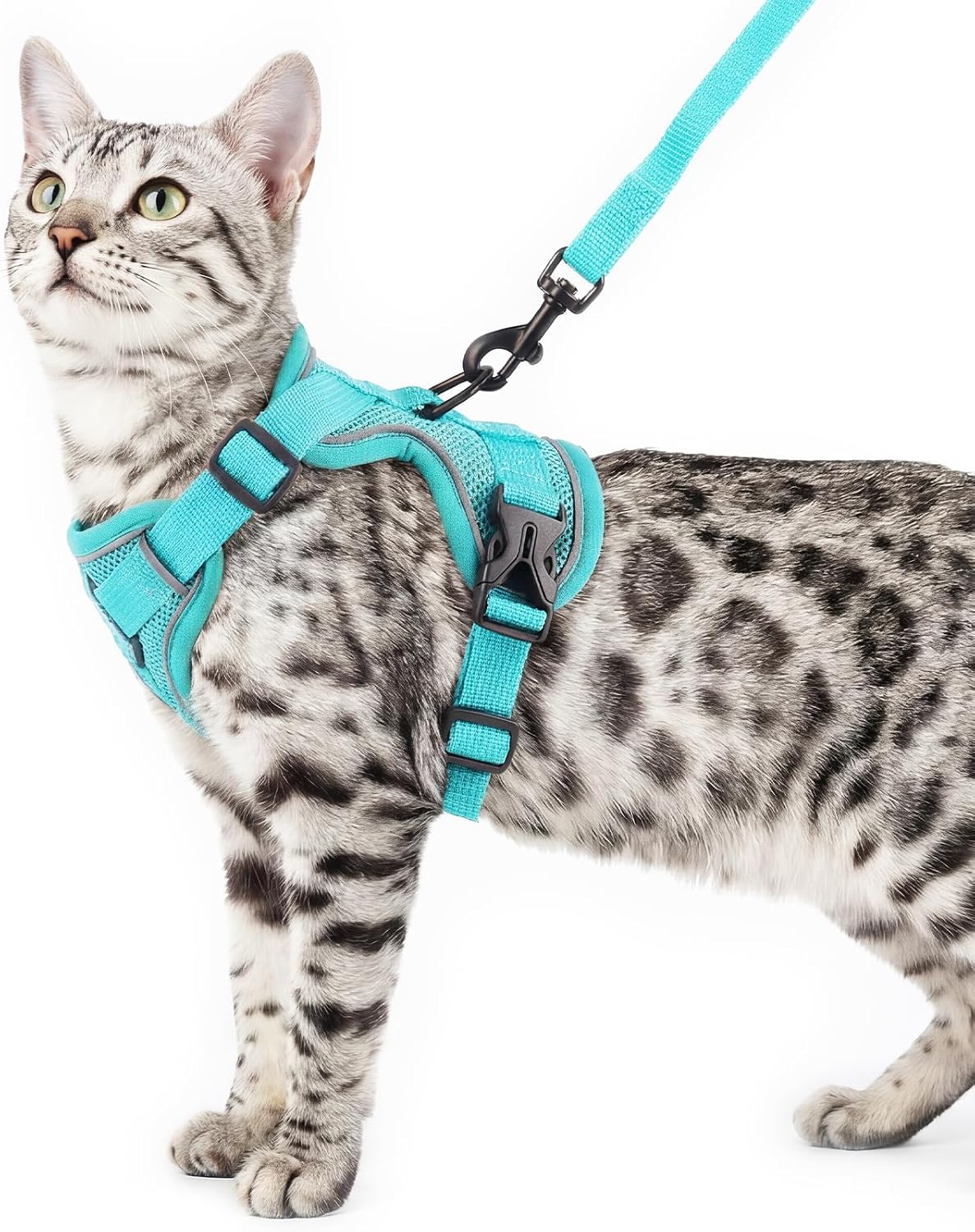 Cat Harness and Leash Set, Escape Proof Cat Vest, XL - Turquoise / Large