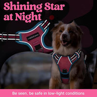 rabbitgoo Dog Harness for Large Dogs, No Pull Pet Vest with 3 Buckles, Adjustable Soft Padded Pet Harness with Easy Control Handle and Reflective Strips, Rose Pink & Blue, XL