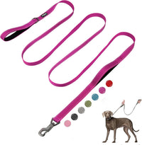 Fida Heavy Duty Dog Leash for Medium Large Dogs - 10 Feet (Pack of 1) / Rose