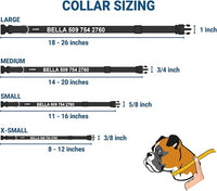 GoTags Personalized Dog Collar with Nameplate, Adjustable Dog Collar with Custom Engraved Slide On Pet ID Tag in Stainless Steel, Silent, No Noise Dog Tag (Light Gray, X-Small)