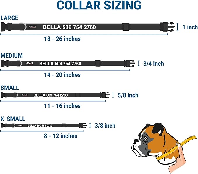 GoTags Personalized Dog Collar with Nameplate, Adjustable Dog Collar with Custom Engraved Slide On Pet ID Tag in Stainless Steel, Silent, No Noise Dog Tag (Lavender, Medium)