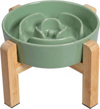 Elevated Slow Feeder Dog Bowl - Green / 1.5 Cups