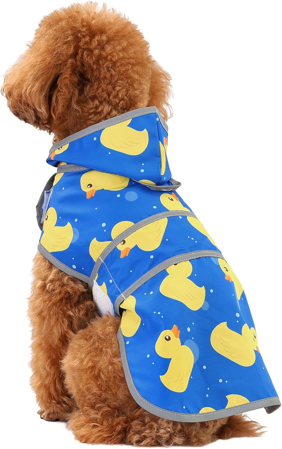 Dog Raincoat, Waterproof Dog Rain Jacket with Hood - Blue Duck / Small - image 2
