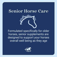 Senior Support SmartPak | Prebiotics and Probiotics | Turmeric Supplement | Flax Seed for Skin & Coat Health | Antioxidant Support for Senior Horses | 28 Days Supply