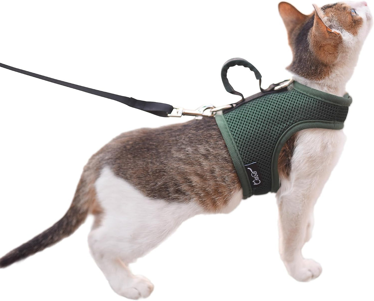 Cat Harness and Leash Set for Walking Escape Proof - Green / XL 11-20 lbs / Nylon
