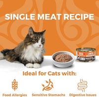 KOHA Limited Ingredient Diet Chicken Pate for Cats - Single Meat Wet Cat Food for Sensitive Stomachs - Pate Cat Food with No Fillers - 5.5oz Pack of 24