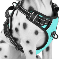 PoyPet No Pull Dog Harness Medium - Medium / Mint Blue