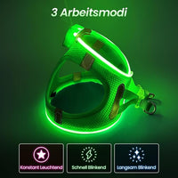 PceoTllar Light Up Dog Harness, LED No Pull Reflective Dog Harness, Flashing Lighted for Night Walking - Small/Medium, (Green M)