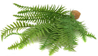 JIHAQUA Fake Fern Plants, Plastic Reptile Terrarium Decor – Essentials for Reptiles And Amphibians - Fern-L - image 3