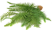 JIHAQUA Fake Fern Plants, Reptile Plastic Terrarium Decor, Reptiles Amphibians Tank Accessories for Crested Gecko Leopard Lizard Chameleon (Fern-L)