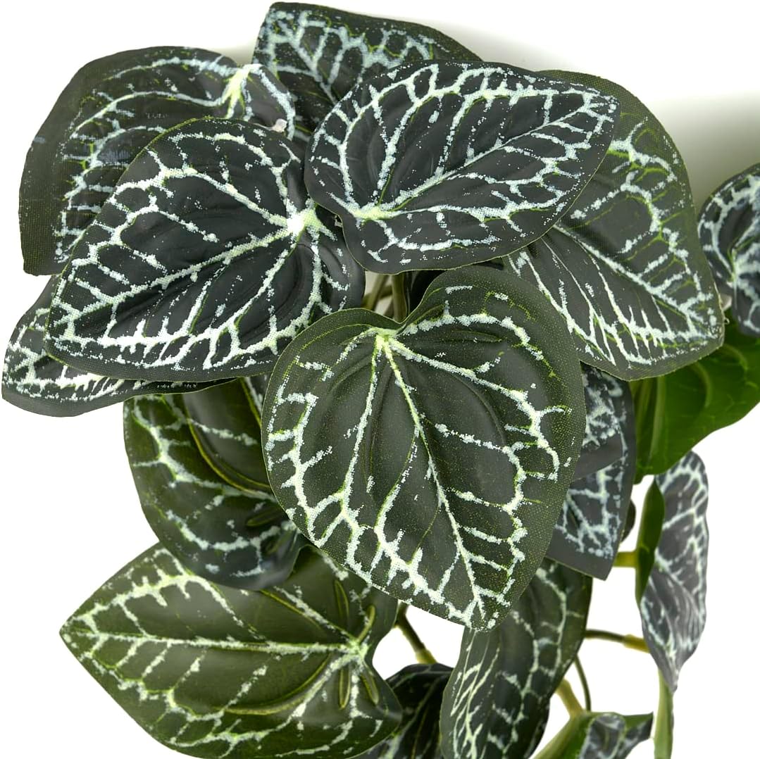 Fake Calathea Orbifolia, Reptile Terrarium Suction Plants – Essentials for Fish - Fake Anthurium Crystallinum - image 2