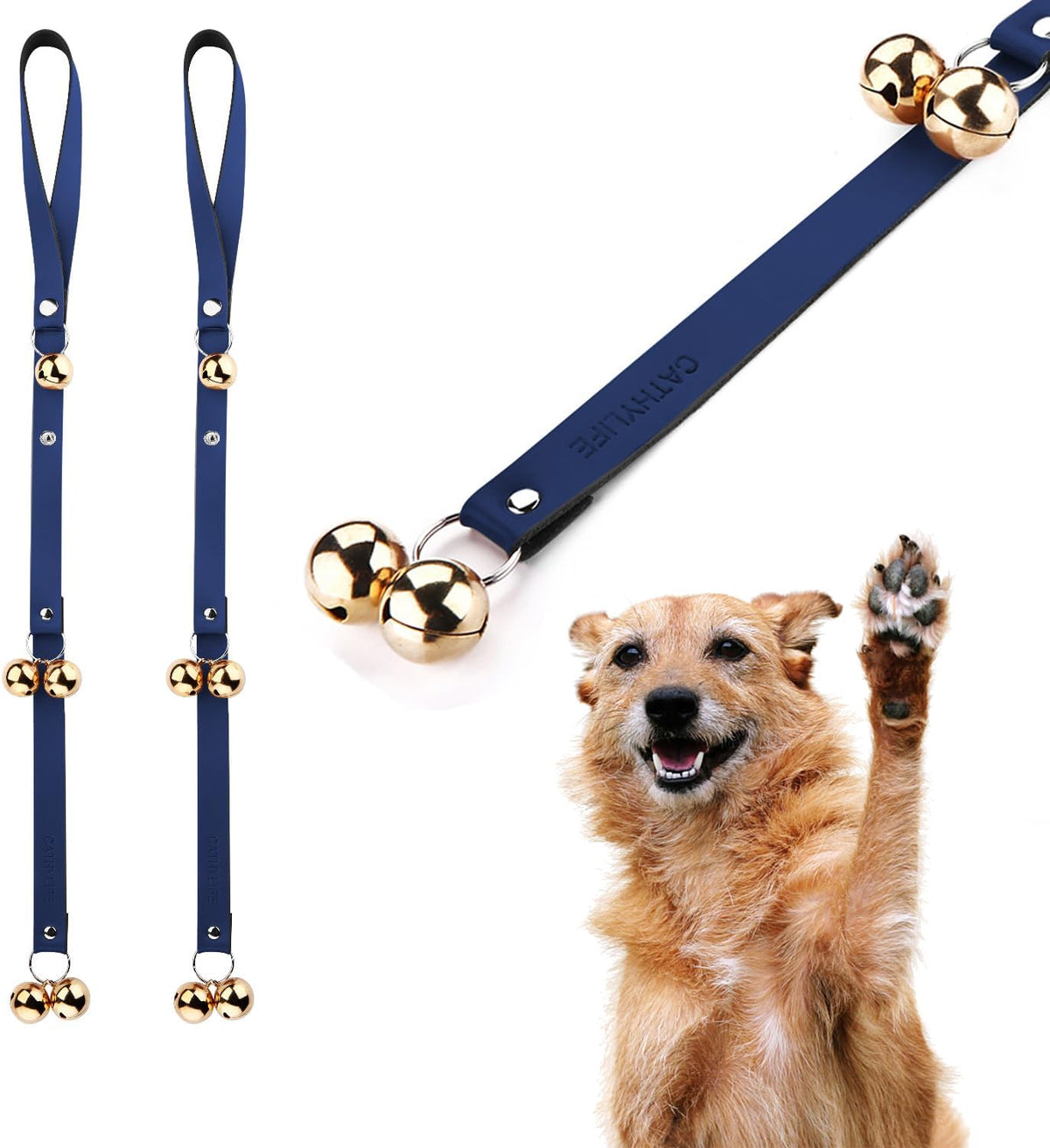 Leather Dog Doorbells to Go Outside, Brass Potty Training Bell – Essentials for Dogs - 2 Blue Leather Golden Bells