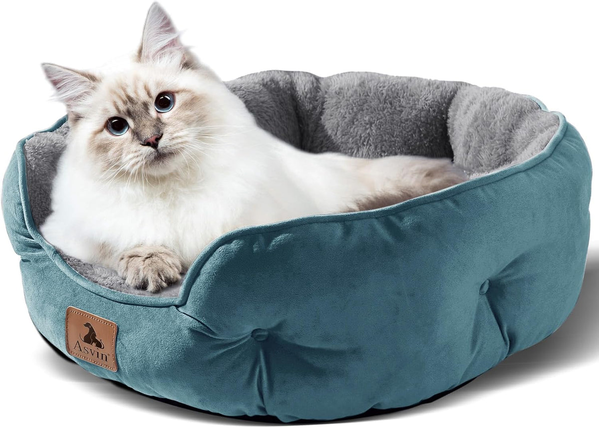 Small Dog Bed for Small Dogs, Cat Beds for Indoor Cats - Medium (Pack of 1) / Teal - image 2