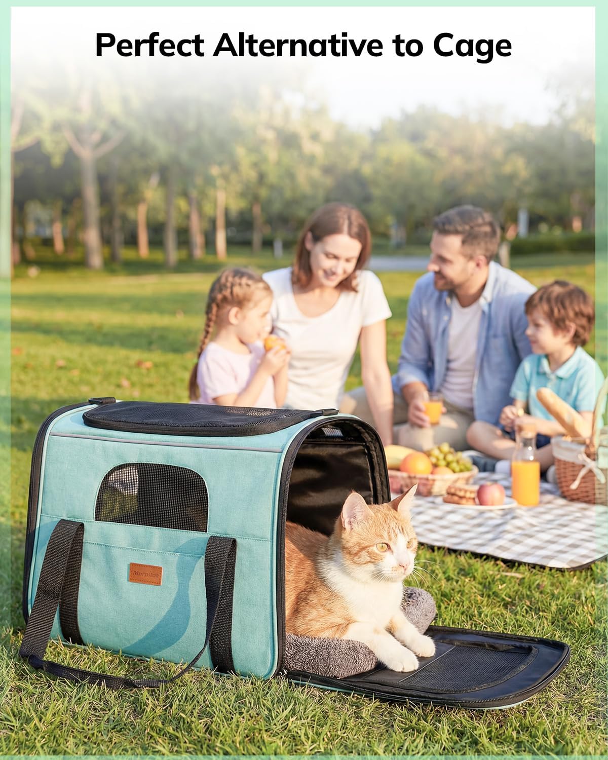 Morpilot Cat Carrier Soft for Large Medium Cats and Puppy up to – Essentials for Dogs - Green / 17.3"L x 12.2"W x 13.4"H - image 4