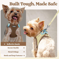 rabbitgoo Dog Harness Small Sized and Leash Set - Brown & Beige / Xxs (chest: 12.4 - 14.2") - image 4