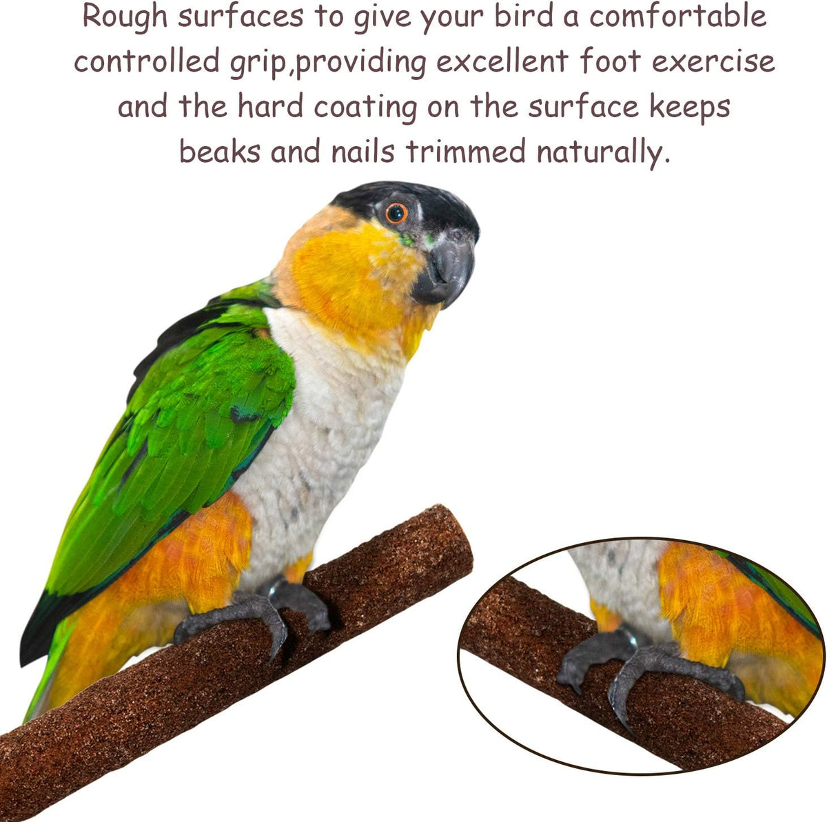 6 Pcs Bird Perch Stand Toy - 6 Pcs - image 3