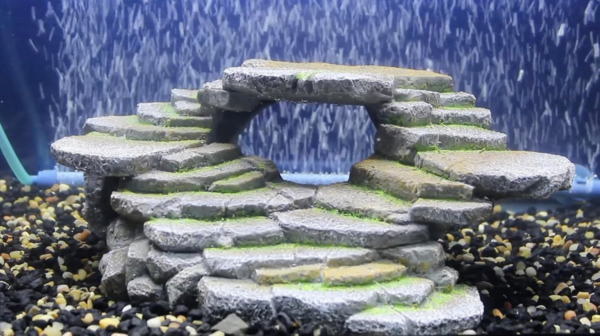 PENN-PLAX Reptology Shale Scape Step Ledge & Cave Hideout - Medium - image 4