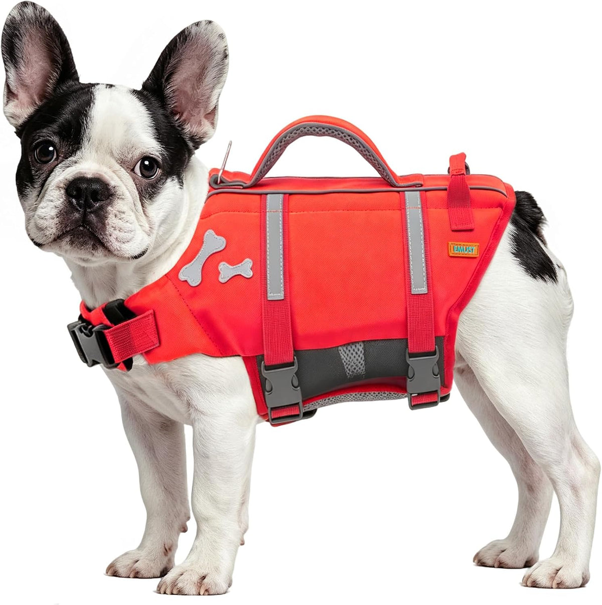 EMUST Dog Life Jacket, Waterproof, Breathable - S / NewRed