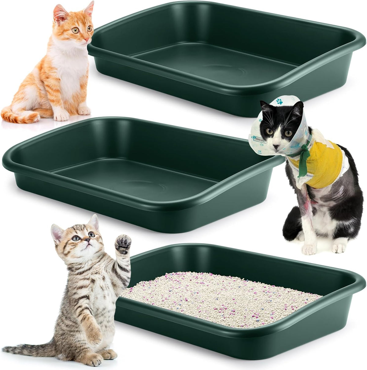 Uiifan 3Pcs Low Entry Cat Litter Box - Dark Green / 23 x 16 x 4.3