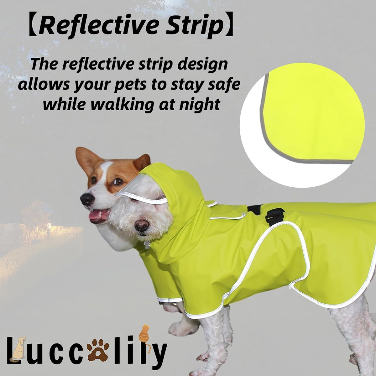 Dog Rain Jacket with Hood for Small Pet - Light Green / Medium - image 2