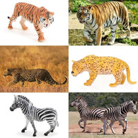 BOLZRA Safari Animals Figures Toys, Realistic Jumbo Wild Zoo Animal Figurines Plastic African Jungle Animals Playset for Kids Toddlers, 14 Piece Gift Set