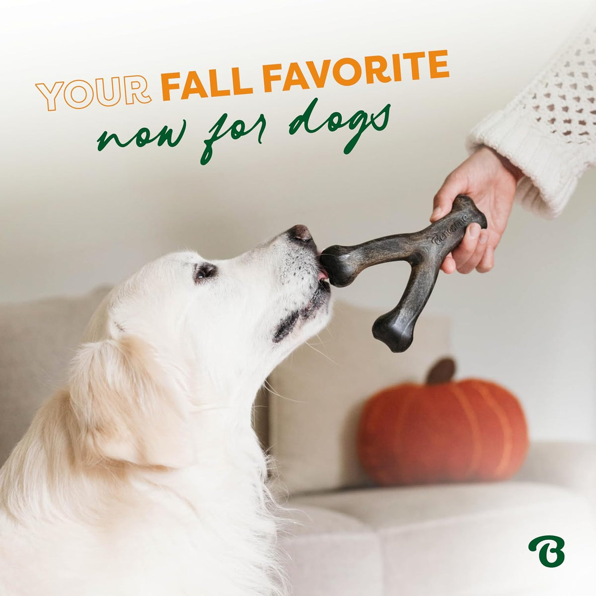 Benebone Wishbone Dog Chew Toy for Aggressive Chewers - Limited Edition: Pumpkin / Large - image 4