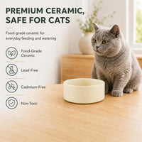 Cat Bowls Set of Two, 5.1” Ceramic Cat Food Bowls - Light Yellow / 2 Bowls - 5.1" - image 4