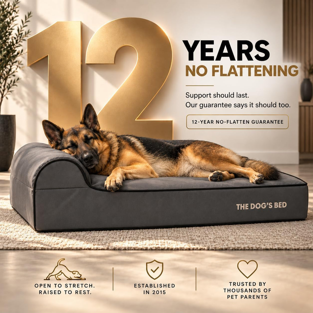 The Dog’s Bed Orthopedic Memory Foam Dog Bed with Headrest XL 6-Inch – Essentials for Dogs - Grey with Black Trim / XL (46"L x 28"W x 6"Th) - image 3