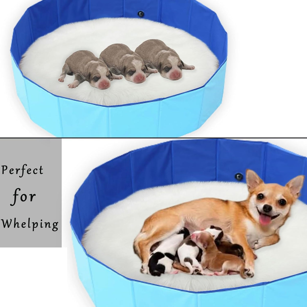 Portable Birthing Pool for Dogs and Puppies - XL-40"x12" - image 4
