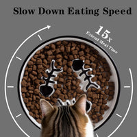 Ceramic Elevated Slow Feeder Cat Bowl, Anti Vomit - 2PCS Black Plates - image 2