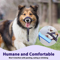 Soft Dog Head Collar, Patented Padded No Pull Training Head Halter – Essentials for Dogs - Purple / M (Snout 8"-11") - image 4