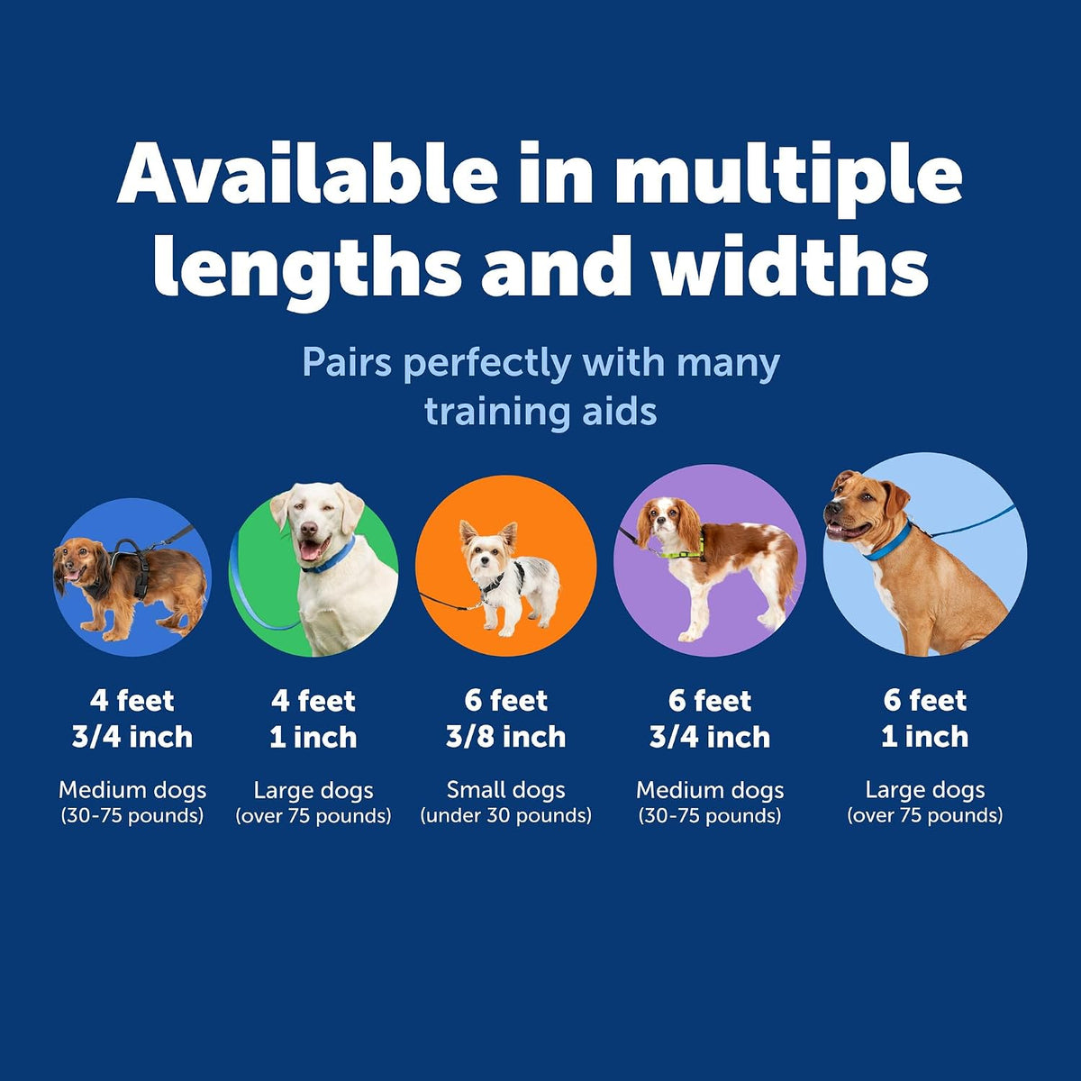 PetSafe Nylon Dog Leash, Strong, Durable - 1 Count (Pack of 1) / Black - image 3