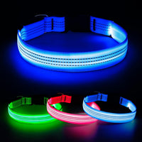 Light Up Collar for Small Dogs& Cats - S (11.8-15.7inch/ 30-40cm) / Blue